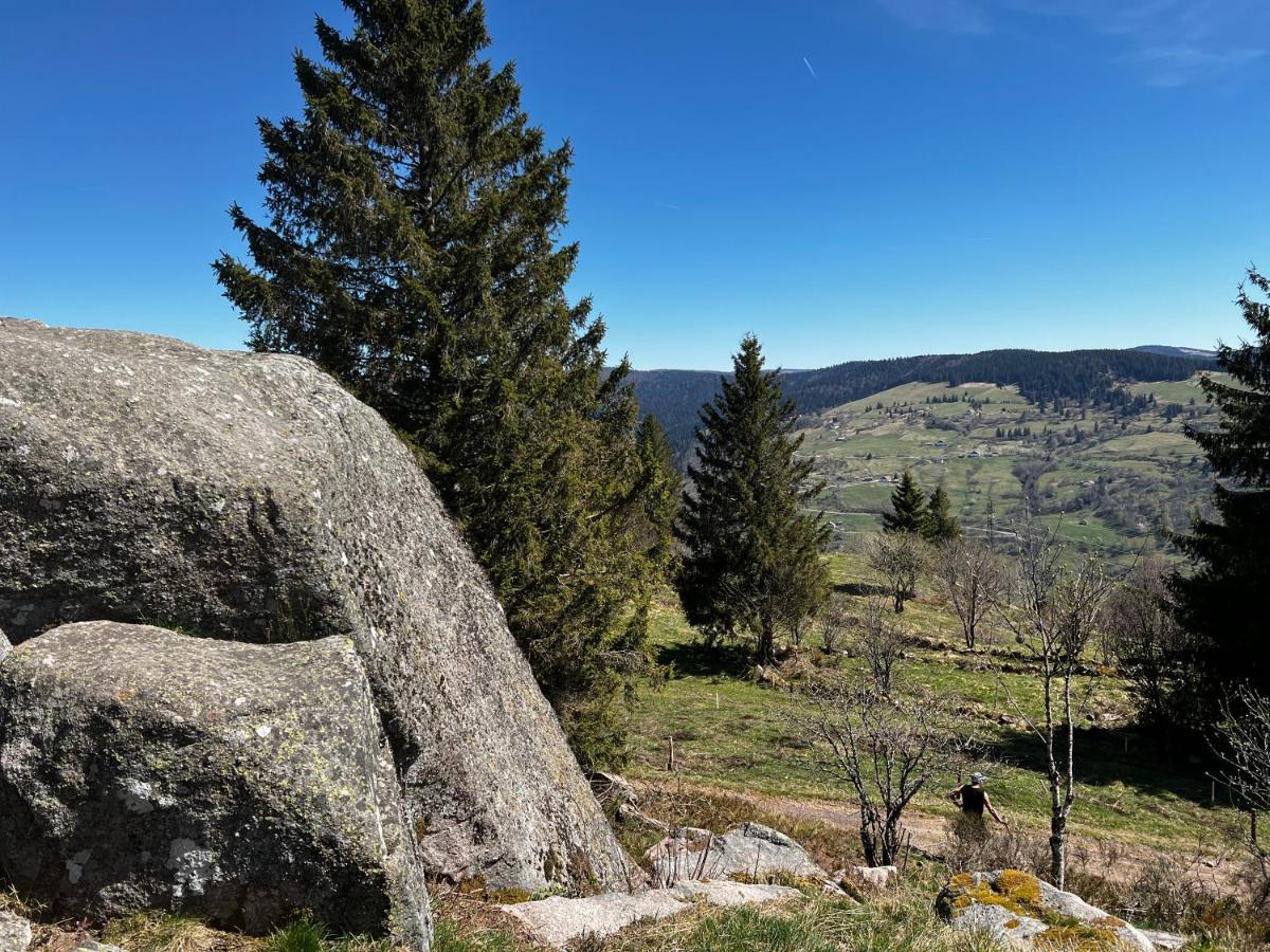 Apartamento Le Petit Kichon Gérardmer Exterior foto
